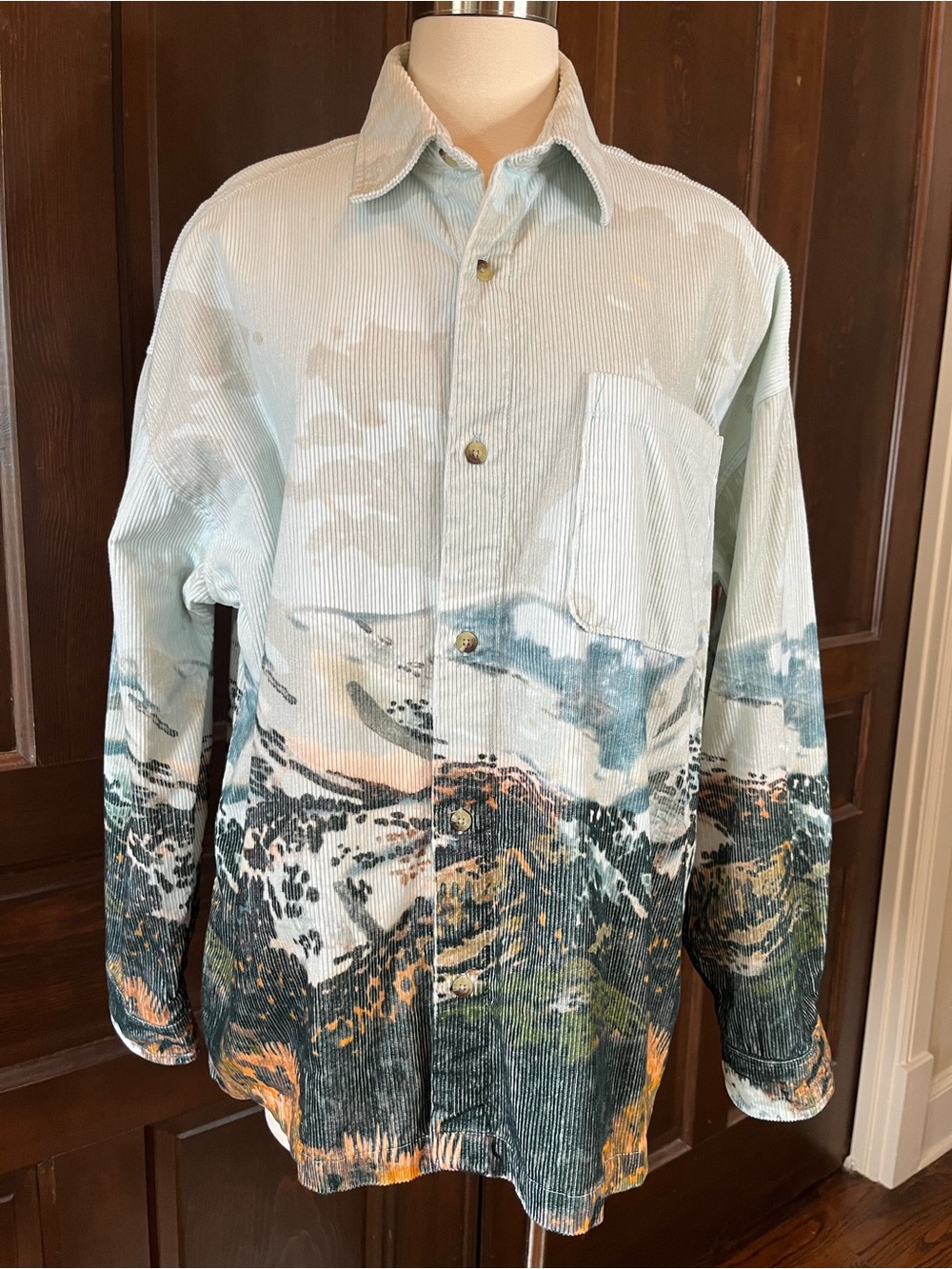 BDG Urban Outfitters Mountain Landscape Corduroy Shirt Western Long Sleeve Sz L - Picture 13 of 13